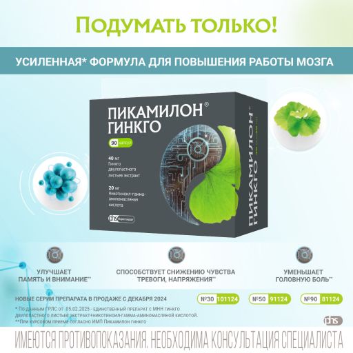 Пикамилон Гинкго, 20 мг+40 мг, капсулы, 90 шт.